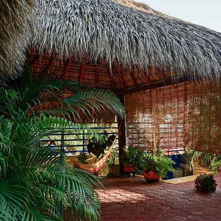 Villas La Bella Margarita Brisas de Zicatela المظهر الخارجي الصورة